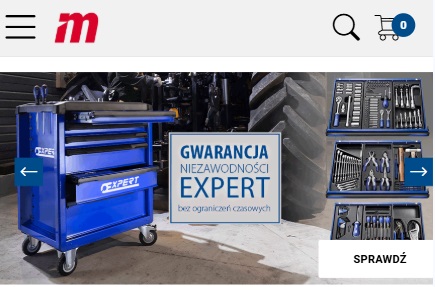 Screenshot from https://narzedzia.expert/pl/